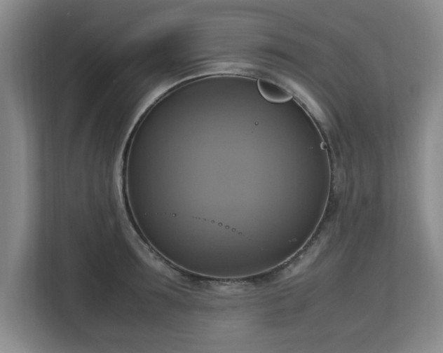 X0000113110899200909041243