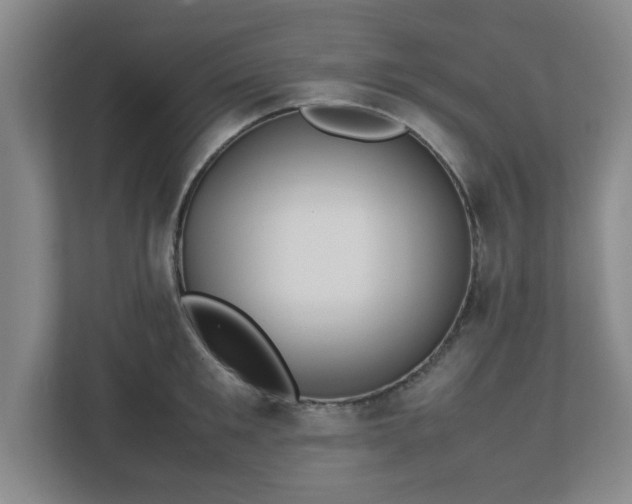 X0000113110901200909041243