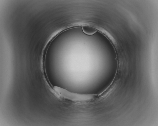 X0000113110902200909041243