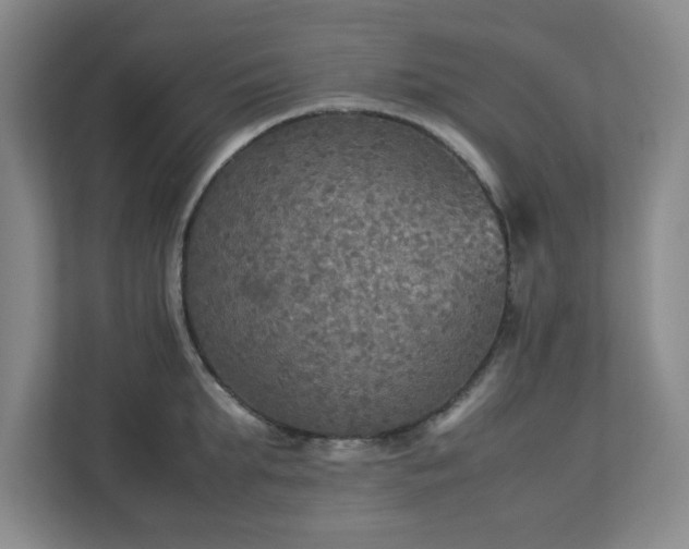 X0000113110903200909041243