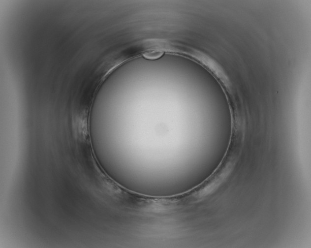 X0000113110905200909041243