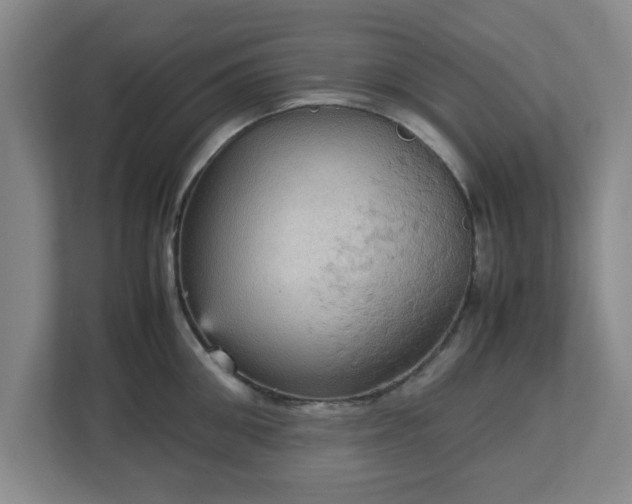 X0000113110906200909041243