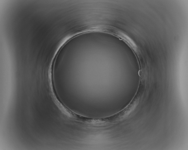X0000113110907200909041243