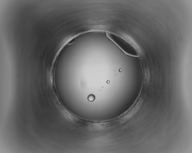 X0000113110908200909041243