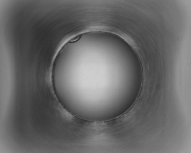 X0000113110912200909041243