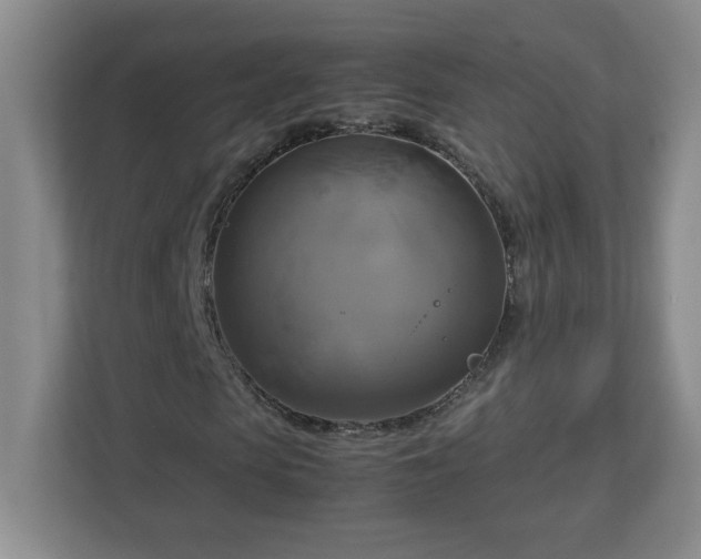 X0000113110913200909041243