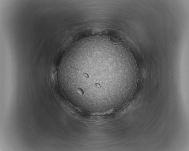 X0000113110914200909041243