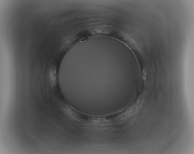 X0000113110915200909041243