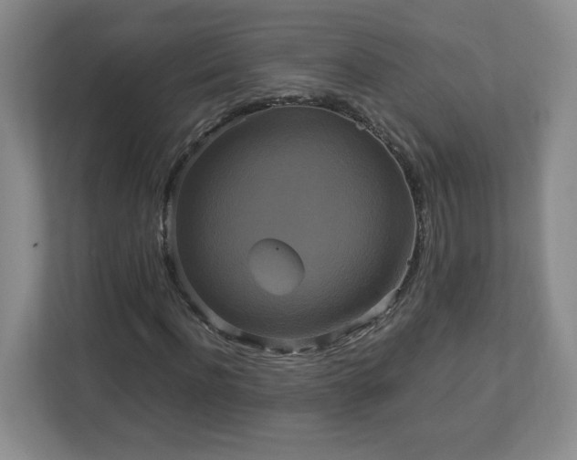 X0000113110916200909041243