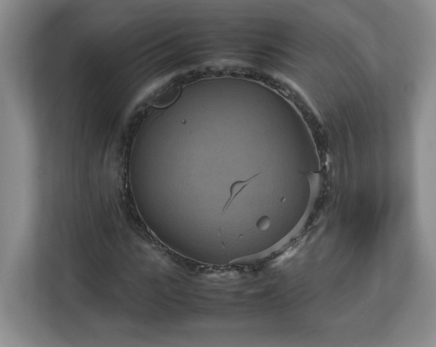 X0000113110919200909041243