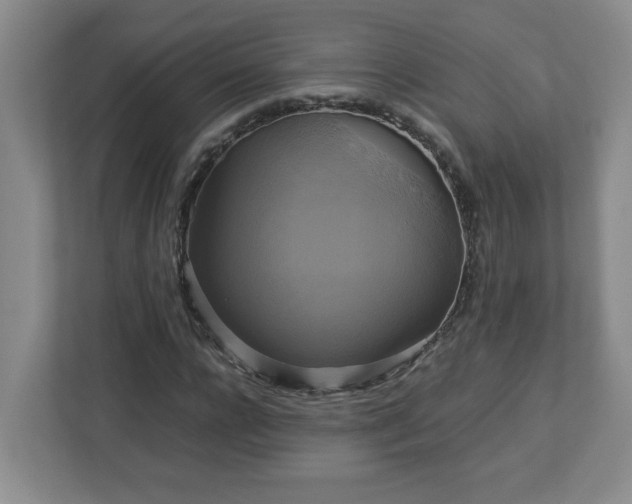 X0000113110920200909041243