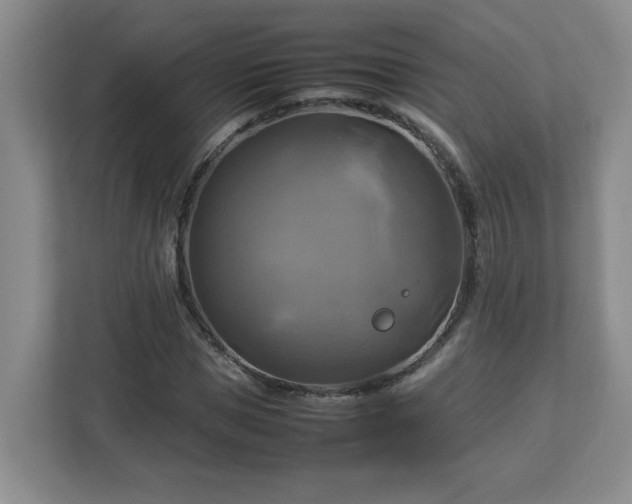 X0000113110921200909041243