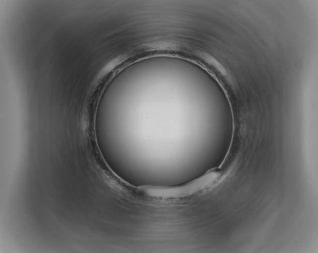 X0000113110922200909041243
