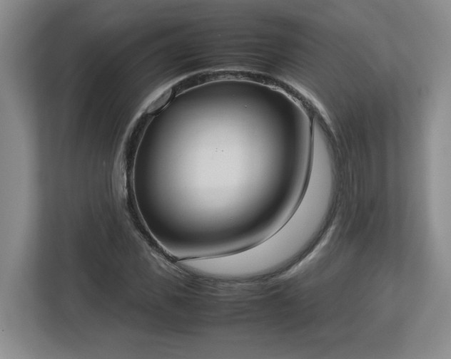 X0000113110925200909041243