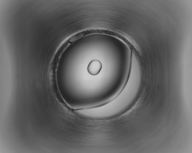 X0000113110926200909041243