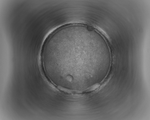 X0000113110928200909041243