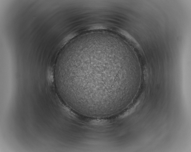 X0000113110929200909041243