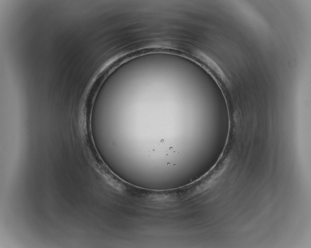 X0000113110931200909041243