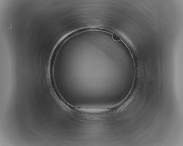 X0000113110932200909041243