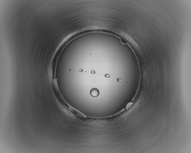 X0000113110934200909041243