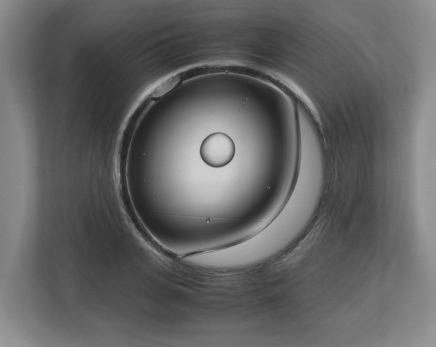 X0000113110935200909041243