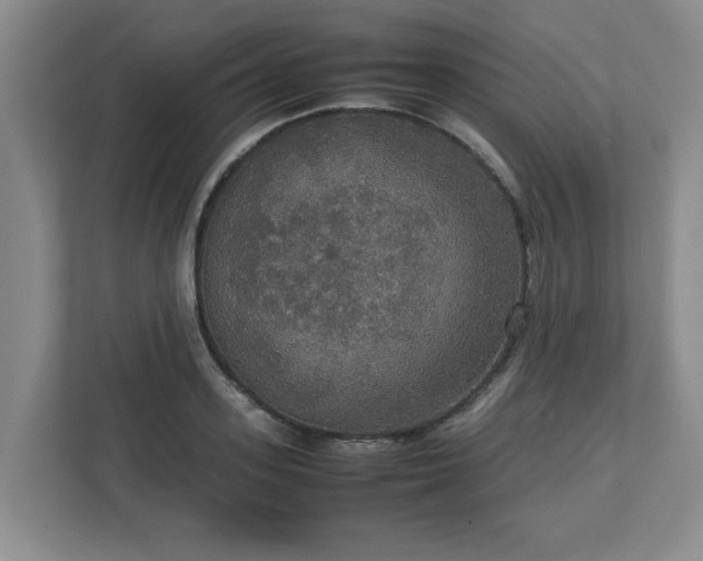 X0000113110939200909041243