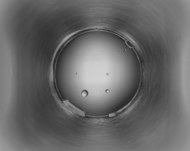 X0000113110940200909041243