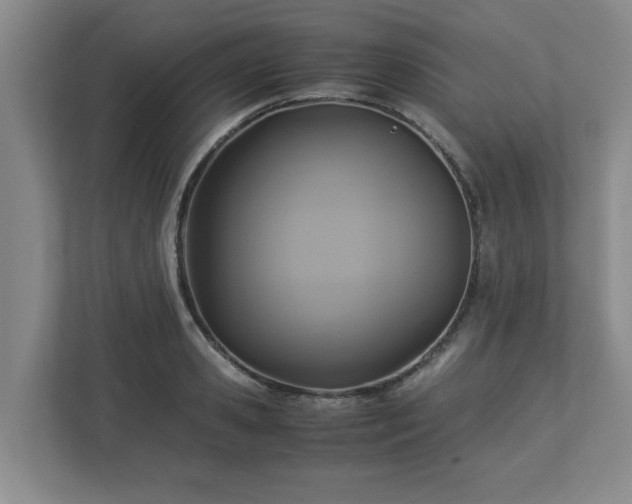 X0000113110941200909041243