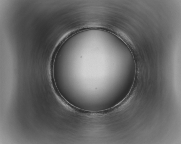 X0000113110942200909041243