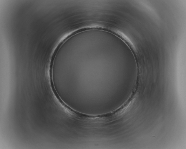 X0000113110943200909041243