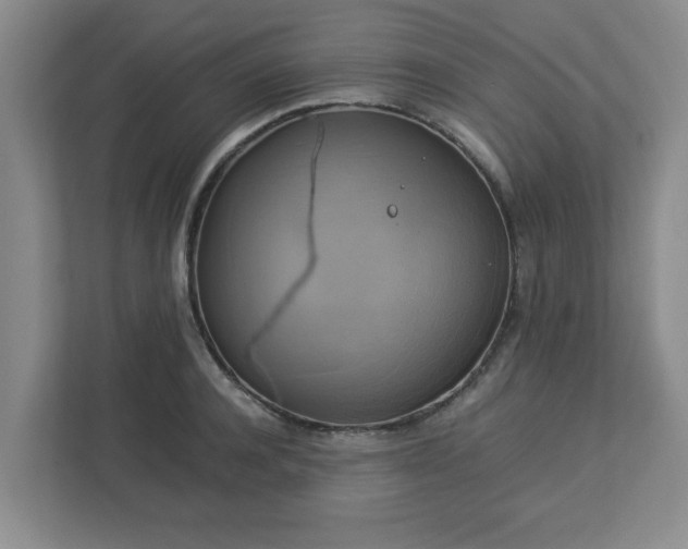 X0000113110944200909041243
