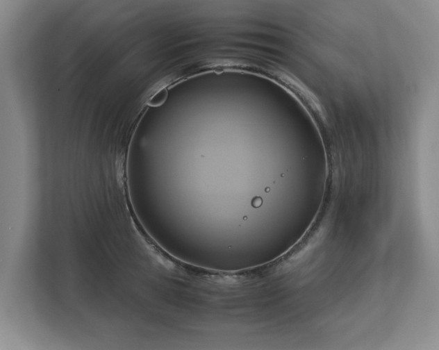 X0000113110945200909041243