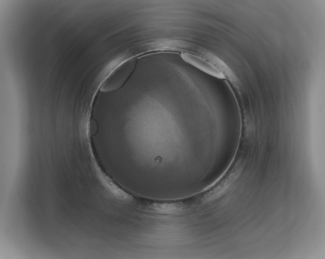 X0000113110946200909041243