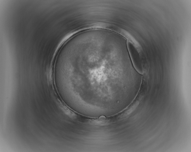 X0000113110948200909041243
