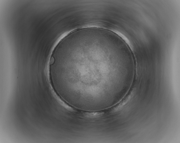 X0000113110949200909041243