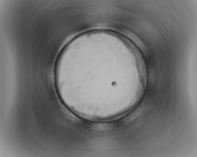 X0000113110950200909041243