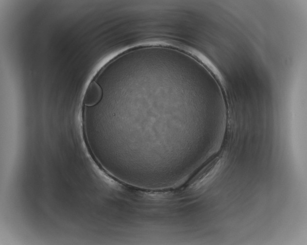 X0000113110951200909041243