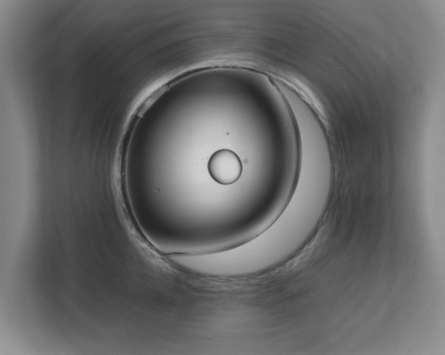 X0000113110952200909041243