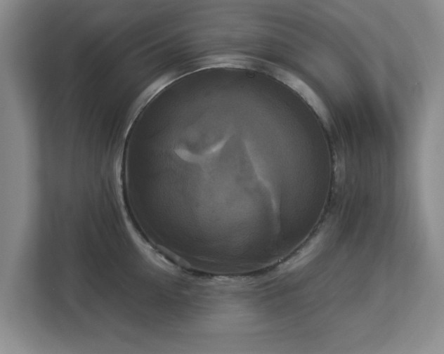 X0000113110954200909041243