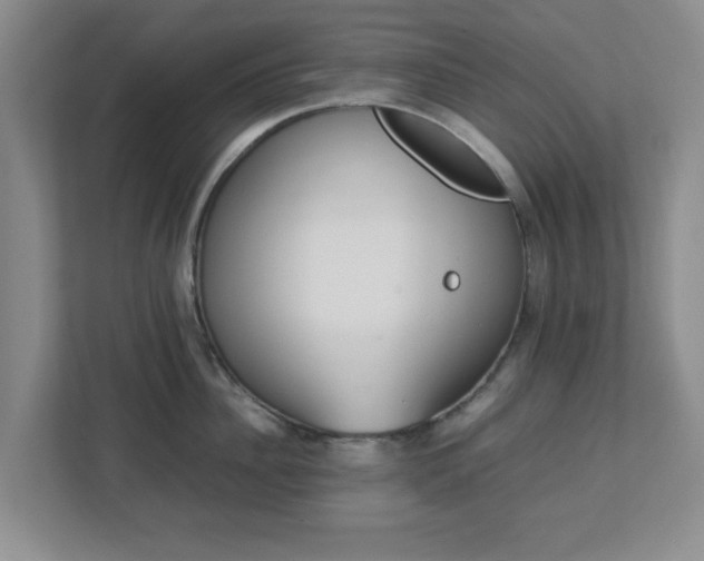 X0000113110956200909041243