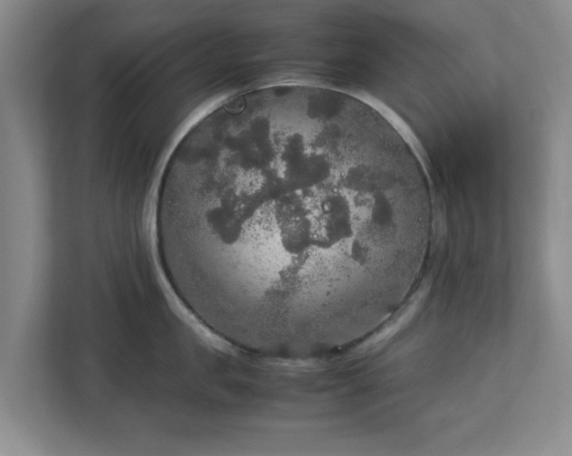 X0000113110957200909041243