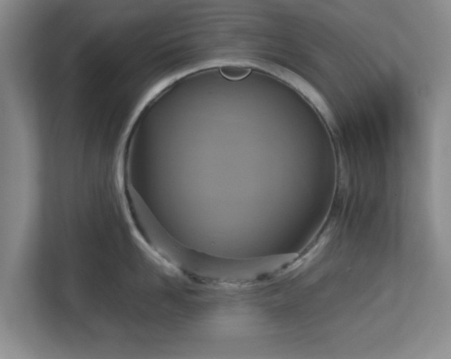 X0000113110958200909041243