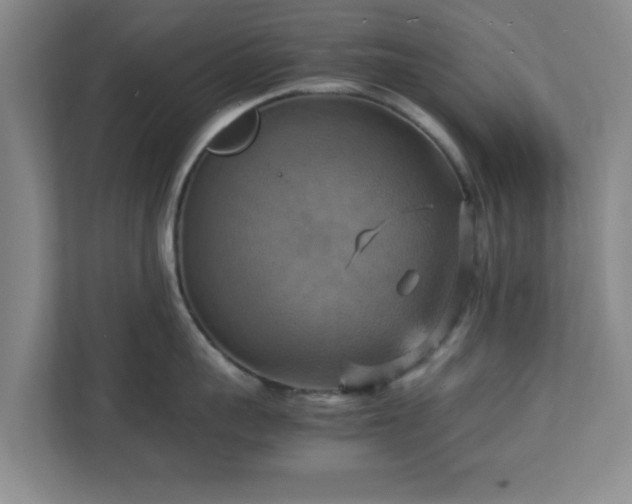 X0000113110959200909041243