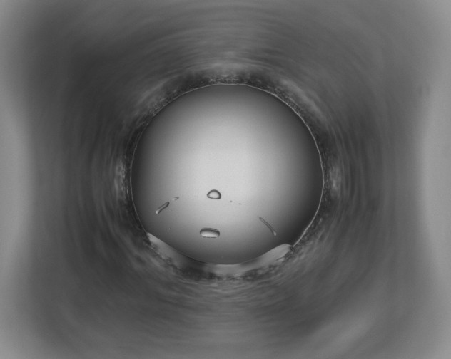 X0000113110964200909041243