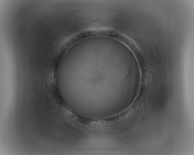 X0000113110966200909041243