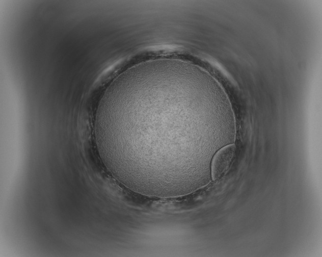 X0000113110967200909041243