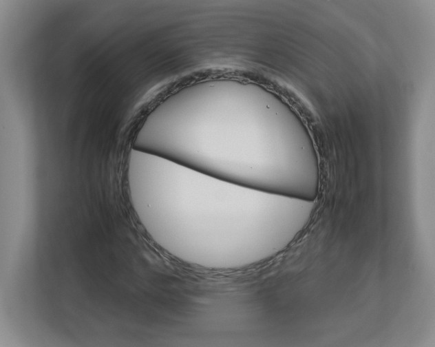 X0000113110968200909041243