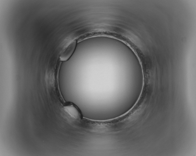 X0000113110969200909041243