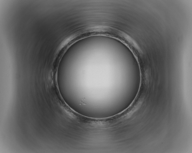 X0000113110970200909041243