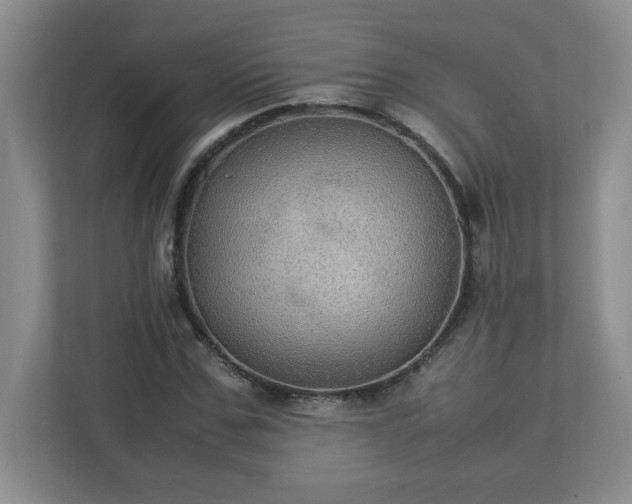 X0000113110971200909041243